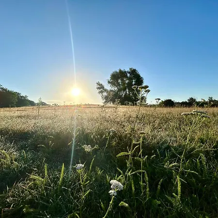 Guest house Reindahls 3*