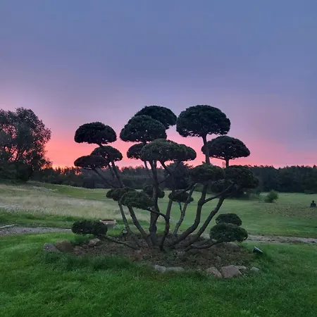 Gæstehus Reindahls