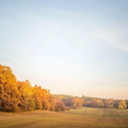 Reindahls Wilkendorf