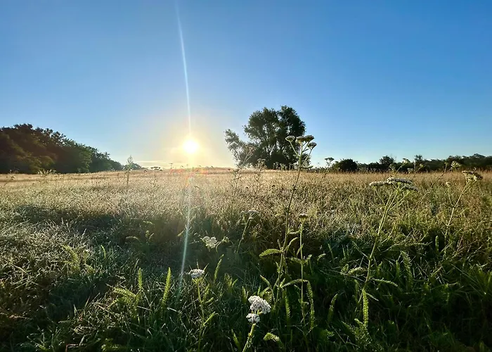 Pensión Reindahls 3*